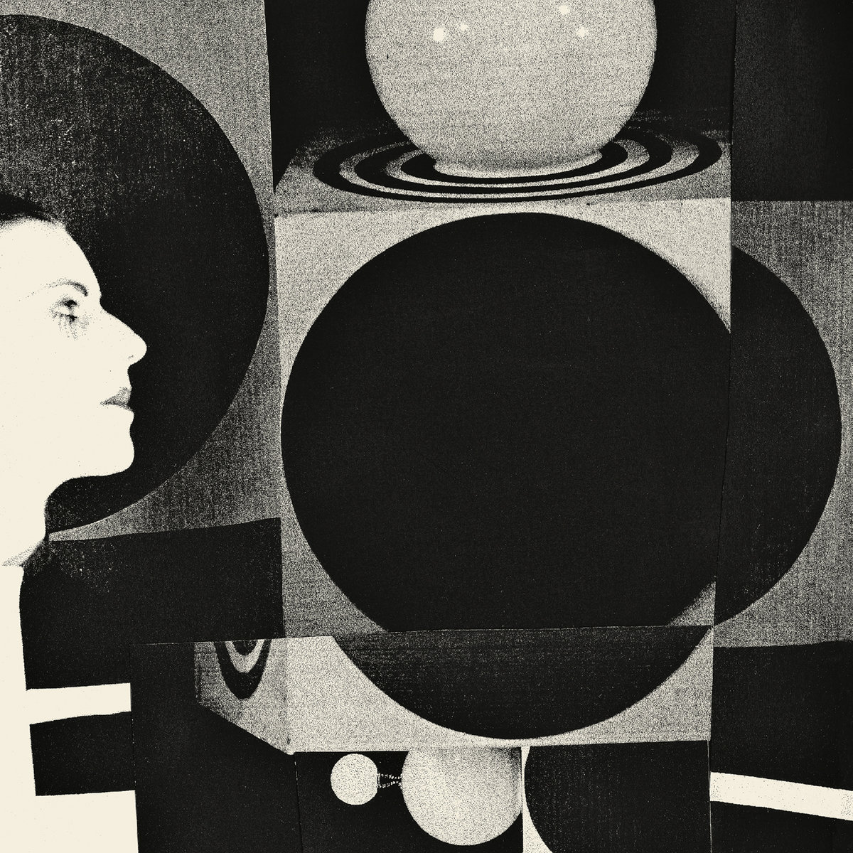 <b>VANISHING TWIN</b> <br>The Age Of Immunology