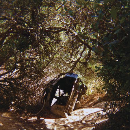 <b>TY SEGALL</b> <br>Possession