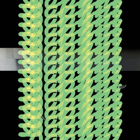 <b>DAPHNI AKA CARIBOU</b> <br>Jiaolong