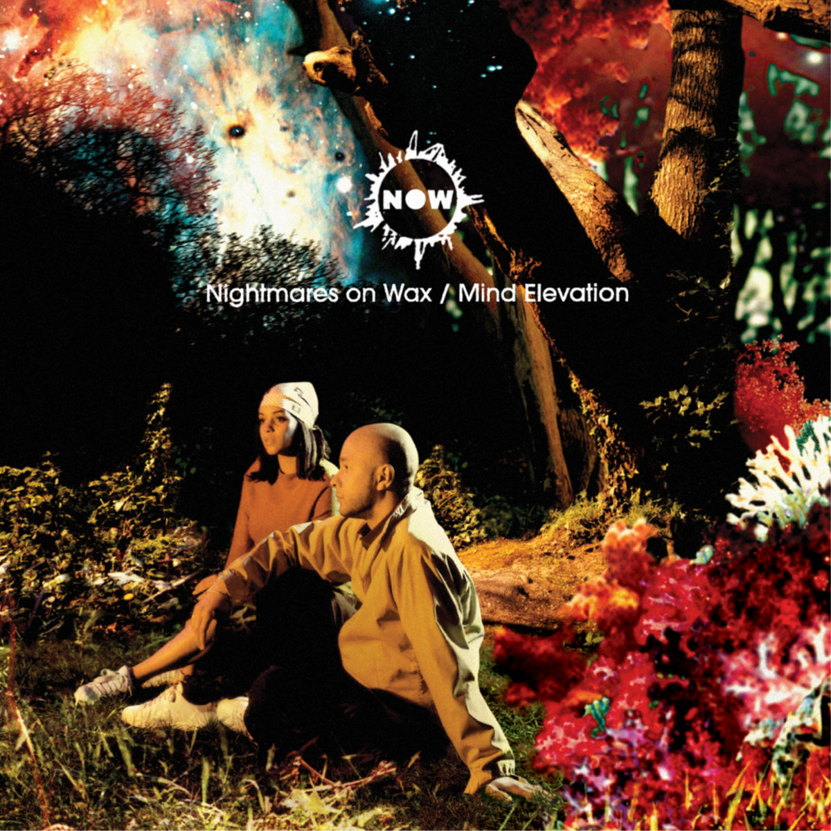<b>NIGHTMARES ON WAX</b> <br>Mind Elevation