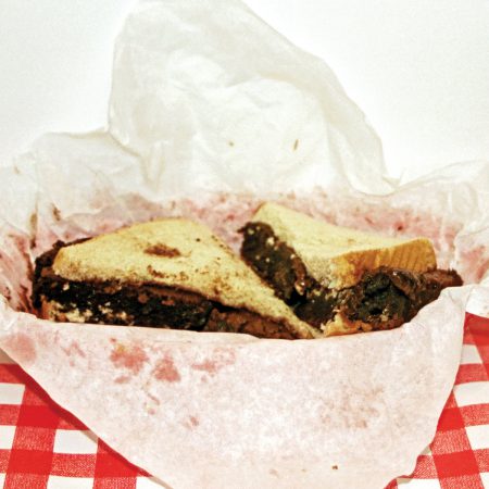 <b>TY SEGALL</b> <br>Fudge Sandwich