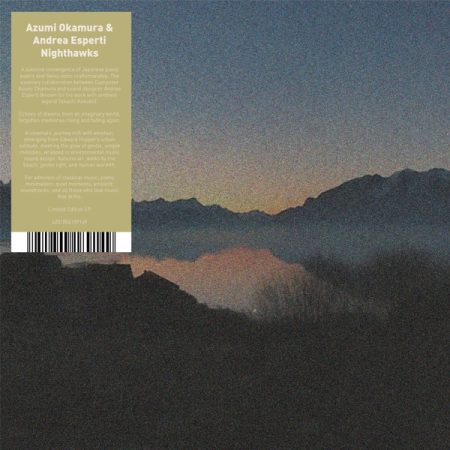 <b>AZUMI OKARUMA AND ANDREA ESPERTI</b> <br>Nighthawks (Limited)