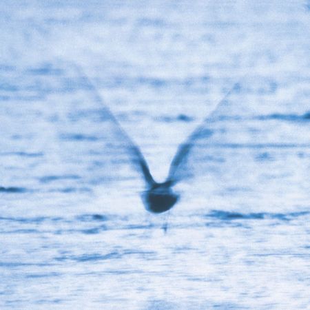 <b>RYO FUKUI</b> <br>Mellow Dream