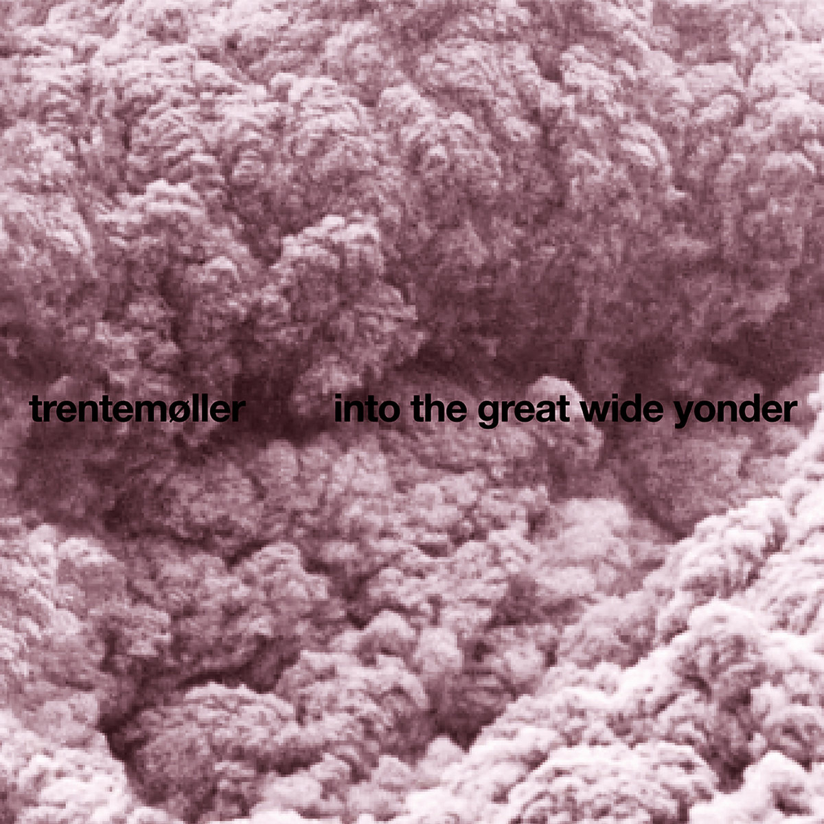<b>TRENTEMOLLER</b> <br>Into The Great Wide Yonder